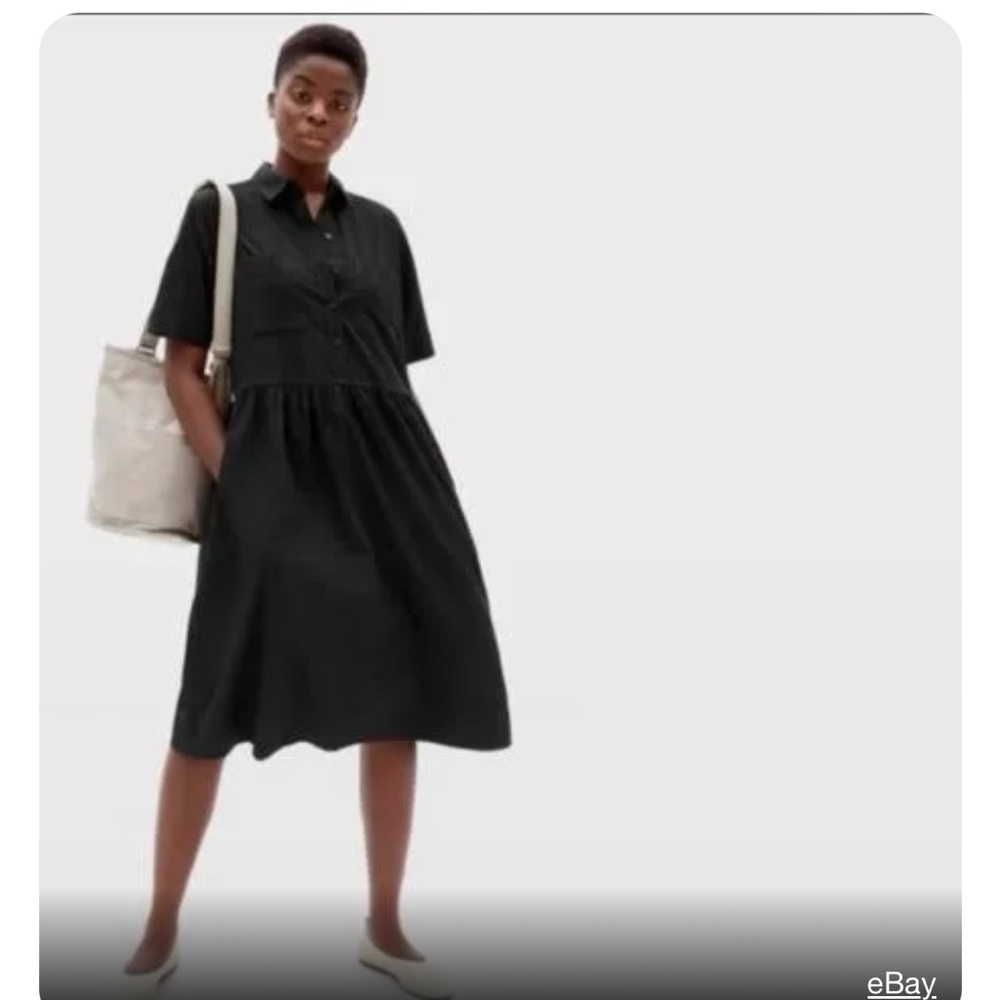 Everlane The Parklet Shirtdress Dress